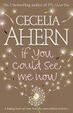 Cover of If You Could See Me Now