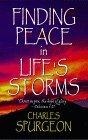 Finding Peace in Life's Storms