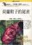 Cover of 荷蘭鞋子的秘密