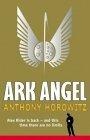 Ark Angel : Bk. 6