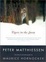 Cover of "Tigers in the Snow"