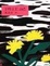 Cover of 淡江記