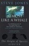 Cover of "Almost Like a Whale"