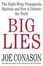 Cover of "Big Lies"