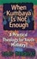 Cover of "When Kumbaya Is Not Enough"