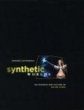Synthetic Worlds : The Business and Culture of Online Games