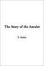 Cover of "The Story of the Amulet"