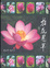 Cover of "拈花惹草"