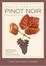 Cover of "North American Pinot Noir"