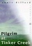 Cover of "Pilgrim at Tinker Creek"
