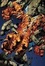 Cover of "Ultimate Fantastic Four, Vol. 4"