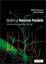 Cover of "Spiking Neuron Models"