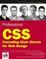 Cover of "Professional CSS"