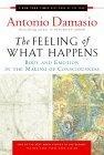 The Feeling of What Happens : Body and Emotion in the Making of Consciousness