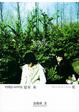 Cover of 1995-2005夏至未至