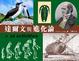 Cover of 達爾文與進化論 x 21 activities