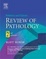 Cover of "Robbins and Cotran Review of Pathology, Second Edition"