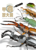 甲蟲放大鏡