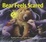 Cover of Bear Feels Scared