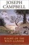 Cover of "Flight of the Wild Gander"