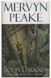 Cover of Boy in Darkness