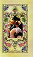 Cover of Bel-Ami