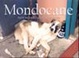 Cover of Mondocane