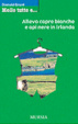 Cover of Mollo tutto e...