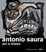 Cover of Antonio Saura, por sí mismo