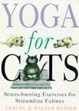 Cover of YOGA FOR CATS