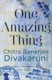 Cover of One Amazing Thing