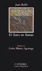 El llano en llamas