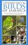 Cover of A Photographic Guide to the Birds of Jamaica