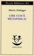 Cover of Che cos'è metafisica?