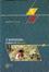 Cover of Il testimone
