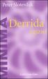 Cover of Derrida egizio