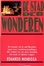 Cover of De stad der wonderen