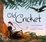 Cover of "Old Cricket"