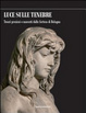 Cover of Luce sulle tenebre. Tesori preziosi e nascosti dalla Certosa di Bologna