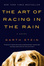 Cover of 'The Art of Racing in the Rain'