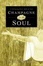 Cover of "Champagne for the Soul"