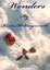 Cover of Wonders