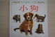 Cover of 小狗