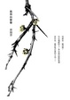 Cover of 殺戮的艱難