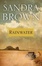 Cover of Rainwater