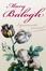 Cover of Ligeramente inmoral/ Slightly Sinful
