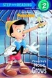 Cover of Pinocchio's Nose Grows