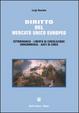 Cover of Diritto del mercato unico europeo
