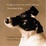 Cover of "If Only You Knew How Much I Smell You"