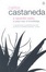 Cover of "Separate Reality"